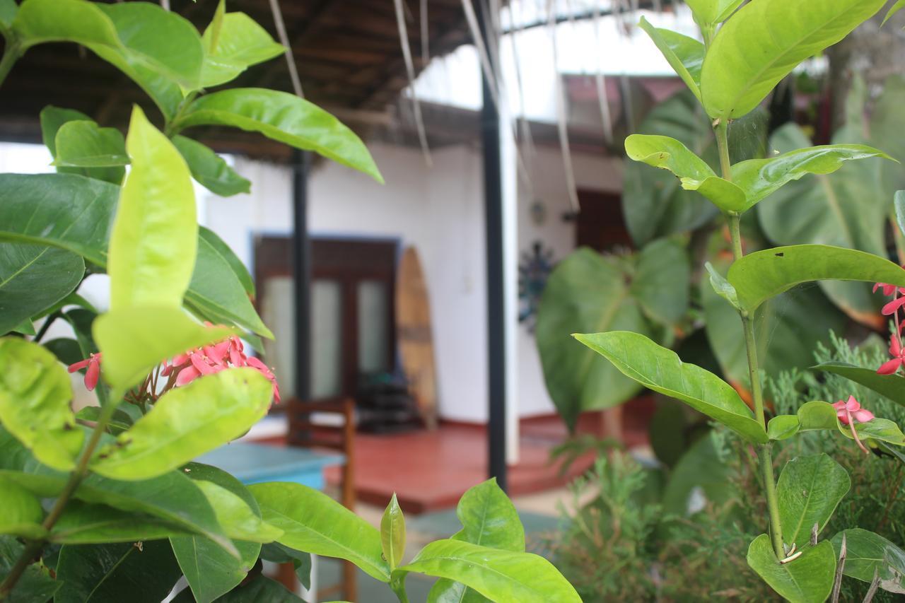 Julie Guest House Tangalle Extérieur photo