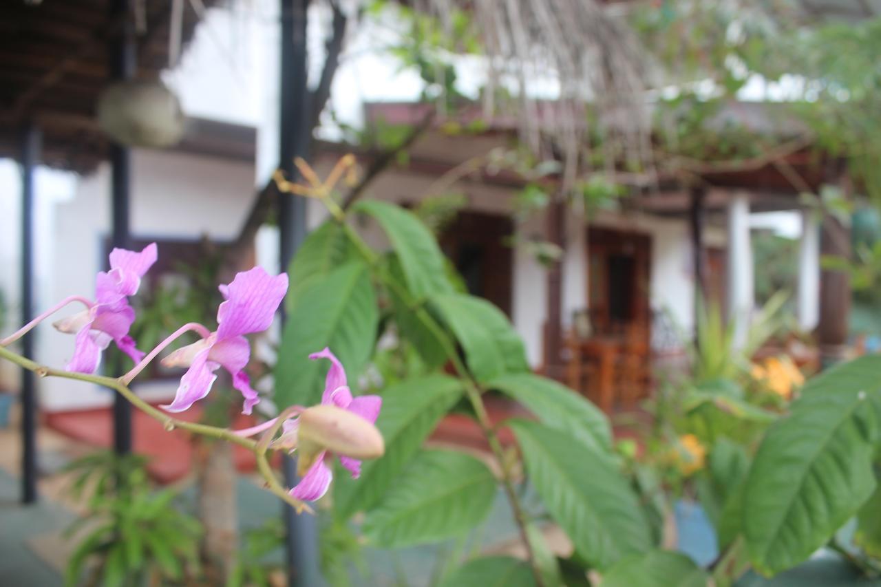 Julie Guest House Tangalle Extérieur photo