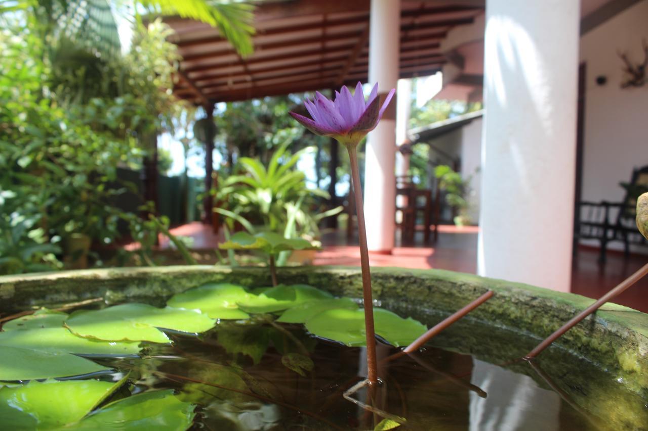 Julie Guest House Tangalle Extérieur photo