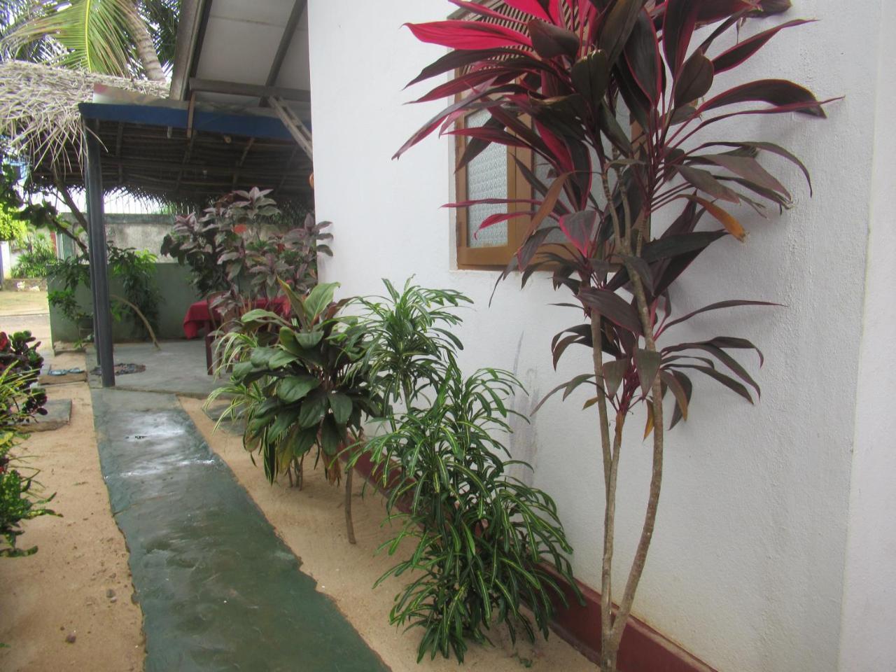 Julie Guest House Tangalle Extérieur photo