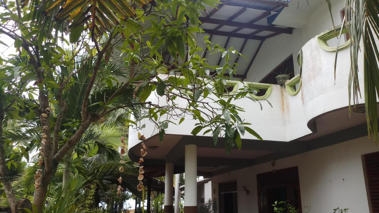 Julie Guest House Tangalle Extérieur photo