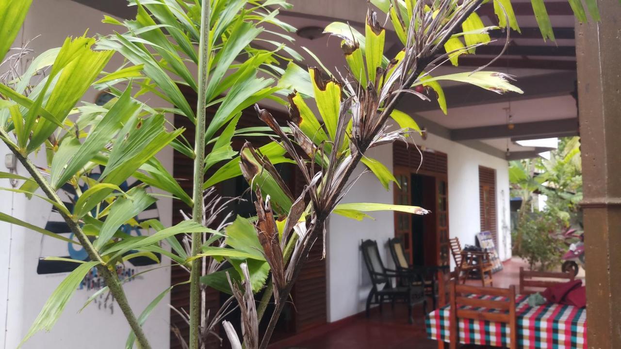 Julie Guest House Tangalle Extérieur photo